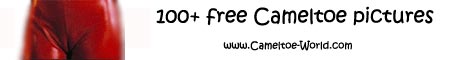 Cameltoe pictures for free at Cameltoe-World.com